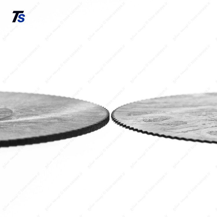 تیغ اره پولکی ایتالیایی MSF 100x22 128T HSS